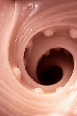 37c842c9-b527-4416-b7e2-b8f670e9430f