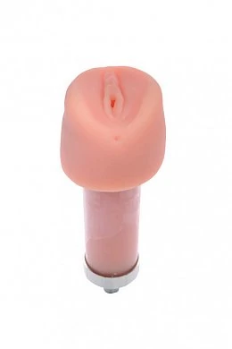 495x743-937d09f7fc5e1fc0c5c3b3e4a414b42b