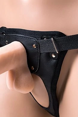 725b8fed-7bc2-4c8d-8fca-f952dde7515d