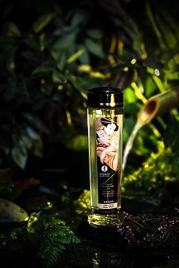 d92c5384-fabf-4984-93b7-5d942e69818c