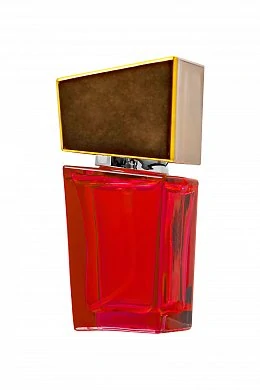 81585186-0911-4ef4-b614-51d5300d80c1