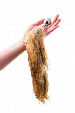 6efaed0c-5272-40c5-a96a-32287beea653