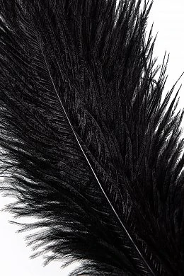 99820d11-f05a-4c7e-ac24-43370c0890eb