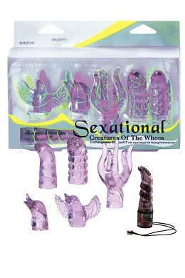 Вибронабор Sexational вибропуля, 5 насадок фиолетовый — купить в секс-шопе LoveDoctor