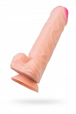 1fd9a828-d22d-46c9-84c7-91ed5488a382