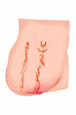 c5277f82-4ccf-4822-b96d-bcf4e6cb065e