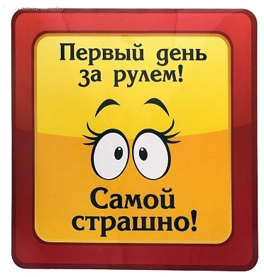 Автомобильная наклейка "Первый день за рулем" разм 18*18 см — купить в секс-шопе LoveDoctor