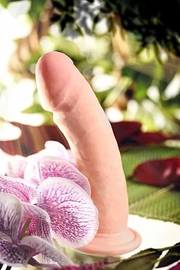 2eac48ff-e3ad-4960-8037-2bd6249f7841