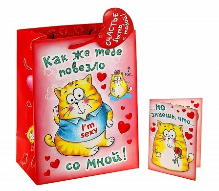 Подарочный пакет с открыткой внутри 18*23 см "Йошкина любовь" — купить в секс-шопе LoveDoctor