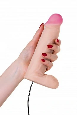 bfab9041-bb6e-4185-b2e4-9bd146394dd0