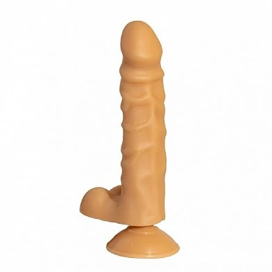 101-17_bx_dd_2_82434868