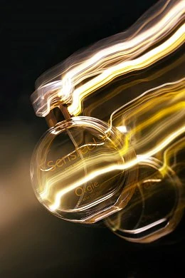 8a6f50d8-7f97-44d1-87fc-7b8b0473f140