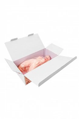 2629f456f4c28acd0b6a2b83d5791181