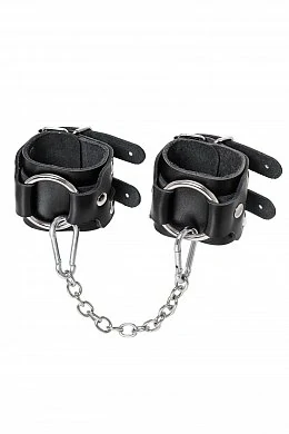 1c296ed9-af07-47de-a2c3-ea739b78435c