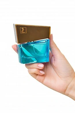 d31e40ae-7c84-400d-a924-944f5ef6cde6