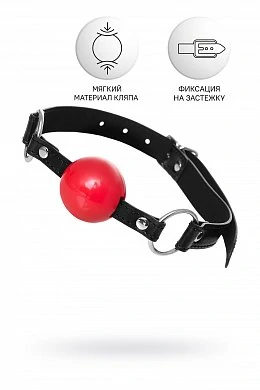 a4b75581-241f-4c8a-9368-4c6d40b38771