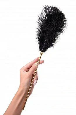 ff709576-159c-4d77-8285-6b7dffc8ee88