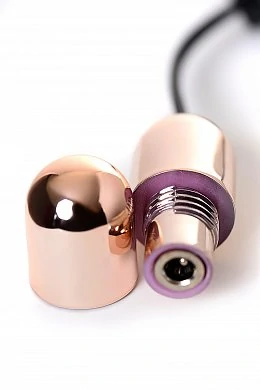 c1f7bad6-785a-4fd8-b7e8-b77d1169f2cf