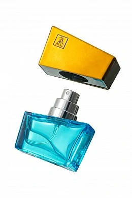 6bdb9d3c-a846-4050-85fa-dd98817fab0f