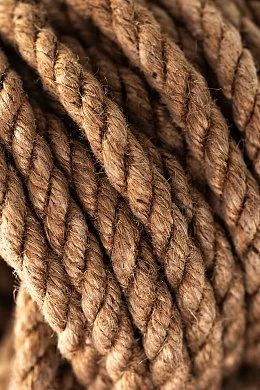 b02c3336-090e-470a-9031-f28b9aa97166