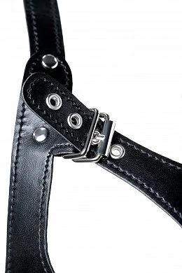 4283c73b-15c0-4b2c-aec7-6b45ee765ec1