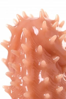 adc90963-8e1e-4494-be61-788983e0f009