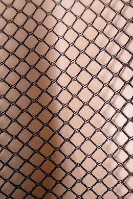 914cc900-3e46-49bf-9e48-9acdc4f58083