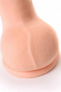 bbcbc183-d277-46dc-892b-6825eb57c7a7