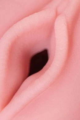 a32c05c7-d895-4ab5-a136-383f95927131