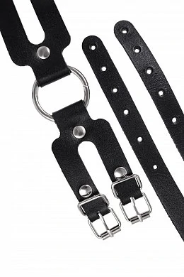 ef77249c-0521-4c5c-8a88-e3f4db81e028