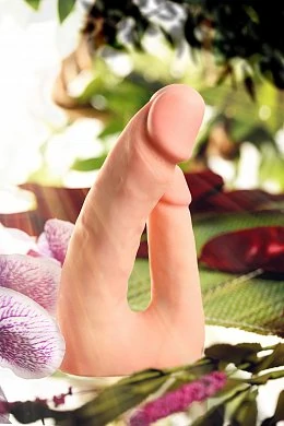 00edc210-905f-4523-89a4-26ae0f27b8f3