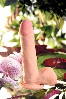 2ca4a3fb-800a-4f36-bdd0-b8502cb1b84c