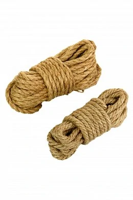 6d4074f9-cfa6-4d0b-b772-d3cb61ca8cc8