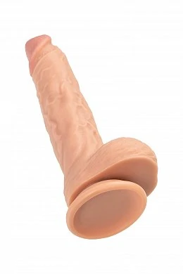 9e29ffe6-409c-4e6a-9e46-7993d955487f