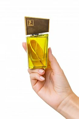 f858afde-ae2b-426a-9d0e-87cb3844a3fb