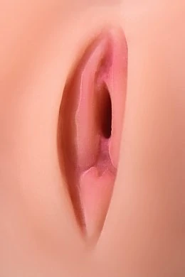 e535761a-47c4-4453-b3a1-84992f640ce4