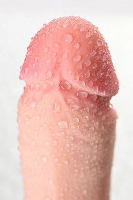 ef90879d-f780-470f-a0bf-01f5509f8cfd