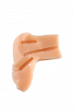 74e0cc3f-ee36-4888-ac36-e65ef605b0ba