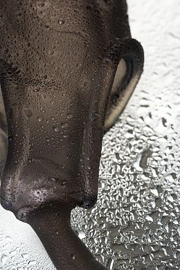 beb3e85c-ab23-40f3-9084-bfc098c2109b