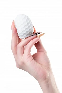 d017dc6b-ac20-4c46-8e97-1143f47c333d