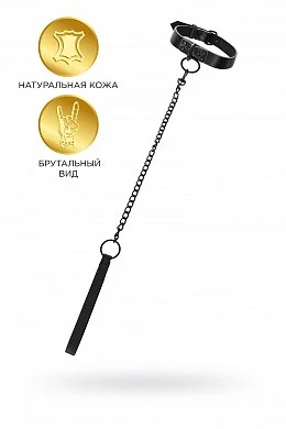 b104d0a3-3817-4d10-9934-8090f3bedd38