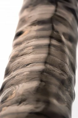 b2753098-bc67-4069-bc7e-9ce86348e874