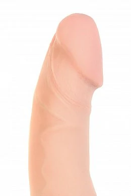 e13c2081-aaa2-4b26-b831-0a3fc4486e7c