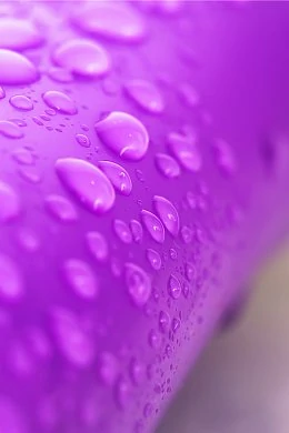 c1000b17-37d8-4a45-a303-f7fc806e0889