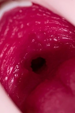 9abf326f-e008-4dcb-8399-8b1532af00ad