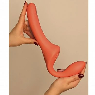 54927b19-dd2c-11ed-b203-00155d010a00_fd33c519-7f2f-11f0-b204-00155d010a00