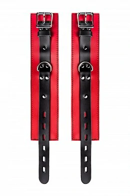 1f4c36cd-55dd-473e-9376-b080df6066c6