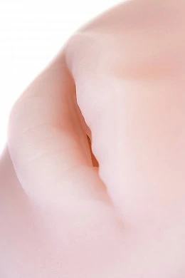 d539062b-344e-4fe4-8046-c43a74e699d3