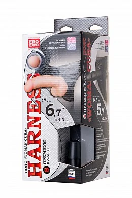 bbda9582-0a65-43ff-ae98-170e2174e027