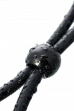 bb0e5821-2827-4eda-aaa7-bd93caa3b72a